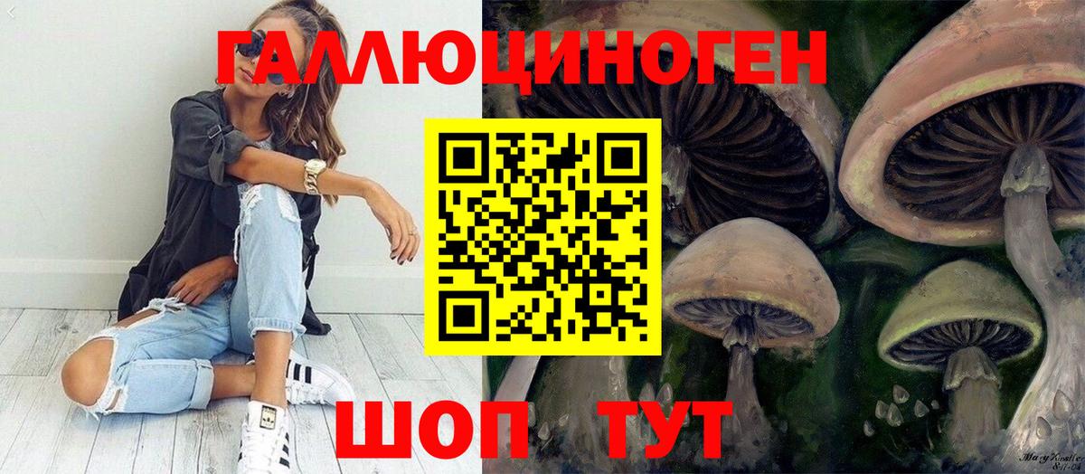 Лыткарино  Галлюциногенные грибы мицелий  Галлюциногенные грибы прущие грибы  Вход с VPN 